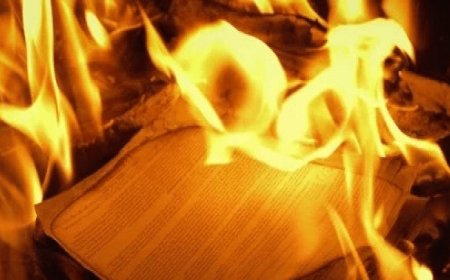 নথিপত্র খোলা মাঠে আগুন সেই নমুনা সংগ্রহ করছে সিবিআই