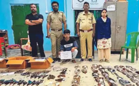 মাছের টোপ, সাজসজ্জার জন্য 2০০০ পাখি হত্যা করে, পরে অভিযুক্ত ফরেক্সেকে অর্থ প্রদান করতে বাধ্য হয়