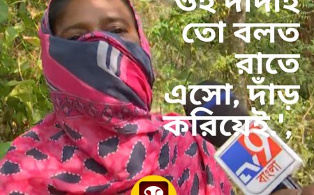 'আসল' দাদার নাম সামনে এনে পার্টি অফিসে কী হত পাই-টু-পাই বললেন আরও এক সাক্ষী