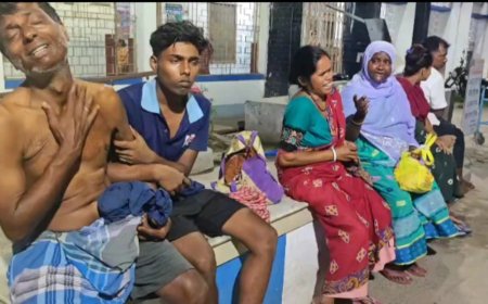 শান্তিপুরে বিদ্যুৎপৃষ্ঠ হয়ে গর্ভবতী মহিলার মৃত্যু, এলাকায় চাঞ্চল্য