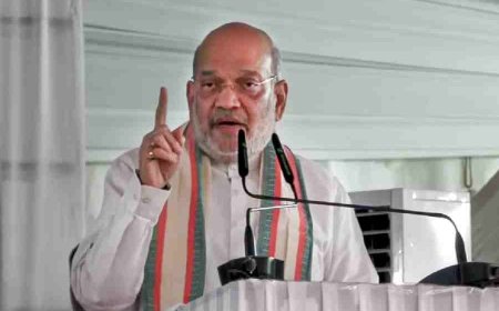 ২০২৬ সালের মধ্যে দেশ থেকে মাওবাদী নির্মূলের অঙ্গীকার করলেন অমিত শাহ