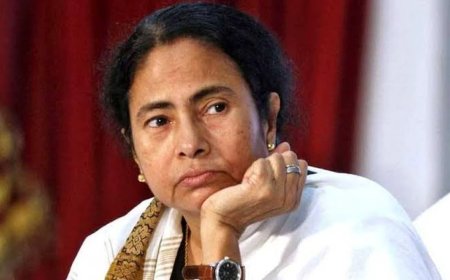 বাংলাবিদ্বেষের বিরুদ্ধে তৃণমূলের কাণ্ডারি পর্যবেক্ষণ: মমতার নির্দেশে তৈরি হচ্ছে প্রতিবাদের তরঙ্গ