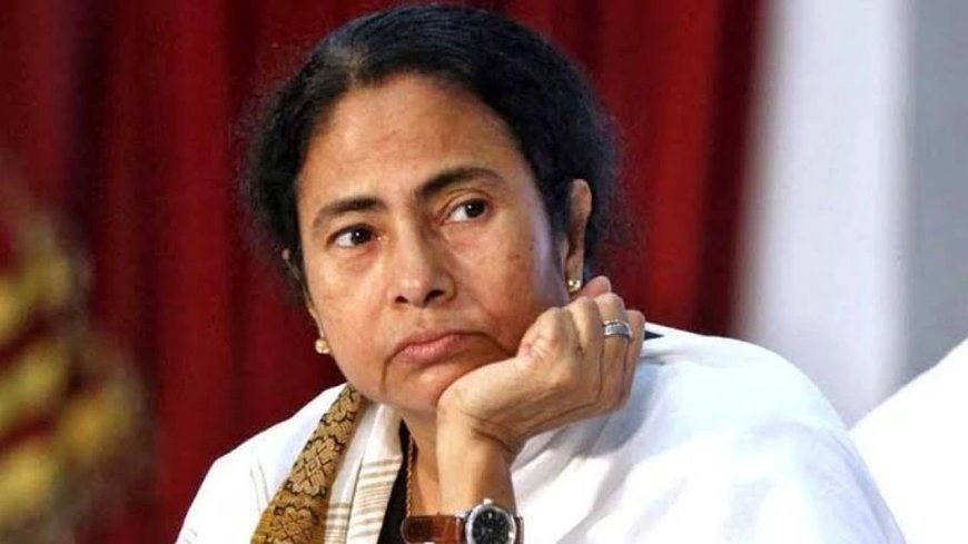 বাংলাবিদ্বেষের বিরুদ্ধে তৃণমূলের কাণ্ডারি পর্যবেক্ষণ: মমতার নির্দেশে তৈরি হচ্ছে প্রতিবাদের তরঙ্গ