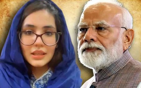 করাচিতে স্ত্রী, দিল্লিতে দ্বিতীয় বিয়ের অভিযোগ! প্রধানমন্ত্রীর দ্বারস্থ পাক বধূ নিকিতা - দুই দেশের আইনি জটিলতায় নতুন মোড়